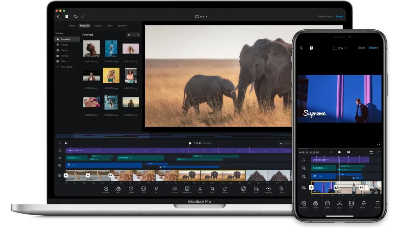 اشتراک VN پرو | تصویر 2
