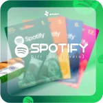 گیفتکارت اسپاتیفای (ریجن هند) - Image 2